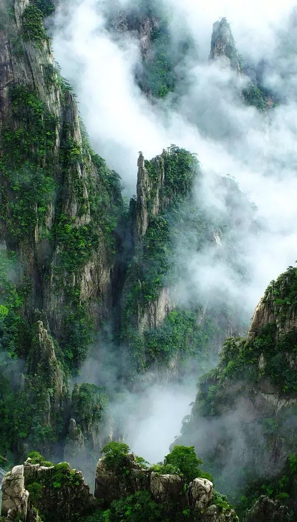 黃山又一次震驚全國！恍如人間仙境，美到極致！