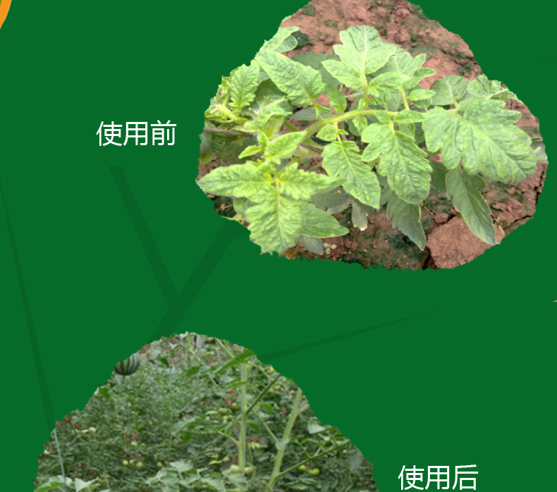 氯氟聯(lián)苯吡菌胺如何實現(xiàn)我國首家登記？