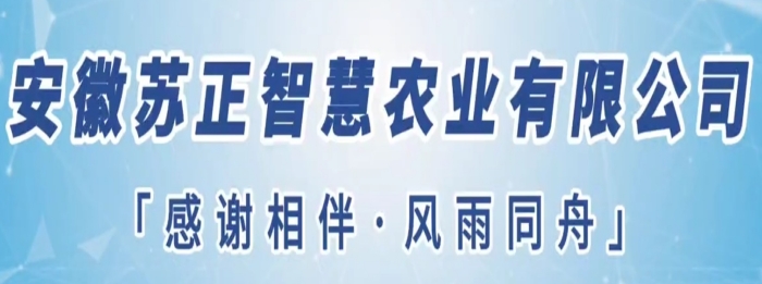 守望初心勇?lián)?dāng)，篤定前行綻芳華
